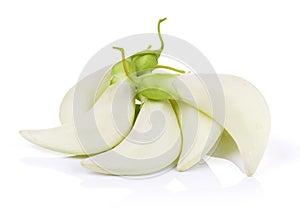 White Agasta ,Thai vegetable on white background