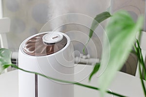 White air humidifier spreading steam on houseplant.