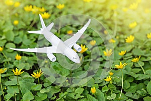 White airplane model on flower fresh green leaves background. Clean green energy, biofuel for aviation industry.