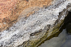 White algae and mineral layer in hot springs stone