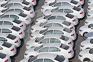 White Aligned Cars