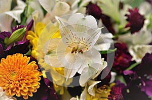 White Alstroemeria flower in the middle of the flower bouquet photo