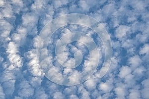 White altocumulus clouds on a blue sky