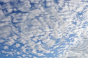 White Altocumulus clouds with blue sky.