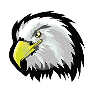 White American North Bald Eagle Head Tattoo Design. Logo Prey Bird Isolated on White Background