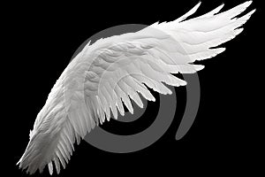 White angel or bird wing on black background