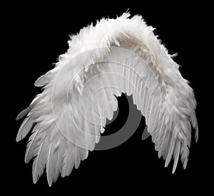 White angel or bird wing on black background