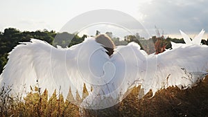 White angel sitting on dry grass on a hill