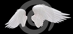 Bílý anděl křídlo 
