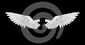 White angel wings with an alpha channel