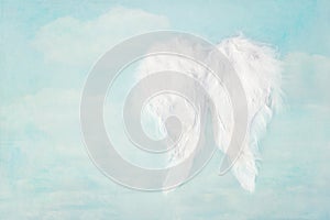 White angel wings on blue sky background