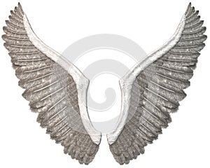 White Angel Wings Illustration Isolated