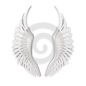 White Angel Wings Isolated
