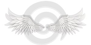 White Angel Wings Isolated