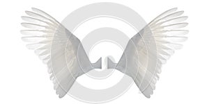 White angel wings isolated on white background photo