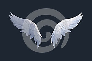 White angel wings