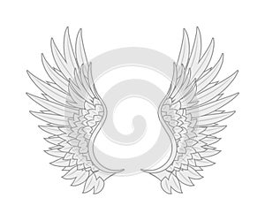 white angel wings many feathers beauty. vector new