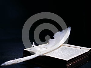 Blanco angelical descansa sobre el La biblia santo un libro 