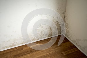 White apartment wall with toxic mold and mildew