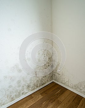 White apartment wall with toxic mold and mildew