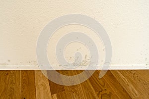 White apartment wall with toxic mold and mildew