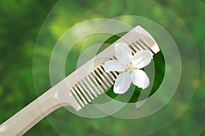 White apple tree flower on a wooden comb against of a blurry green background