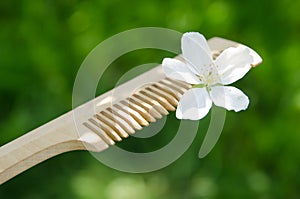 White apple tree flower on a wooden comb against of a blurry green background