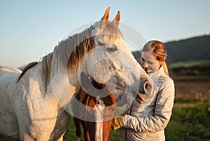 White Arabian horse, autumn afternoon, detail on head, blurred smiling young woman in warm jacket petting another brown animal
