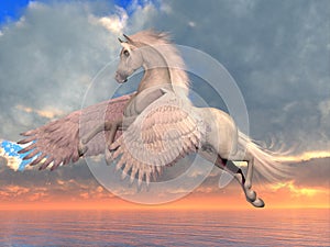 White Arabian Pegasus Horse