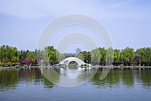 A white arch bridge is especially beautiful against the background of willows and green peaches