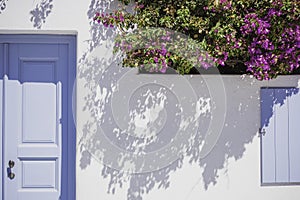 White architecture on Santorini island, Greece. Blue door and pink flowers on the facade