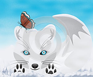 White Arctic Fox Playing in the Snow with a Mourning Cloak Butterfly