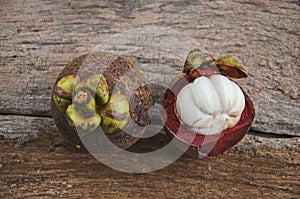 White aril of mangosteen fruit after endocarp opened