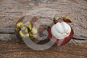 White aril of mangosteen fruit after endocarp opened photo