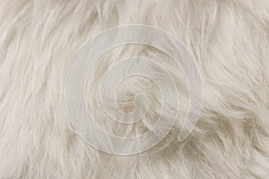 White artificial fur texture for background close-up