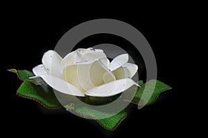 White artificial lotus flower