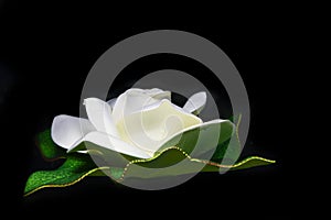 White artificial lotus flower