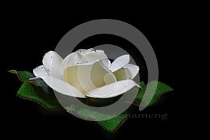 White artificial lotus flower