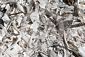 White ashes of burnt leaves.