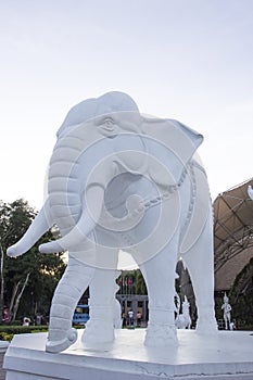 White Asia elephant statue with blue sky background