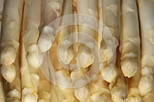 White Asparagus