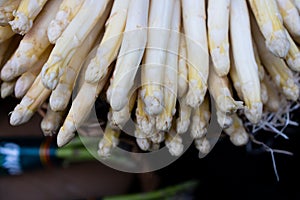 White asparagus detail