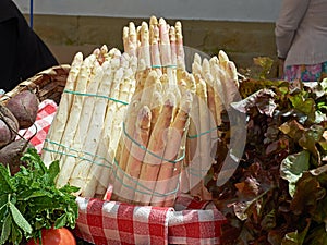 White asparagus in a market. photo