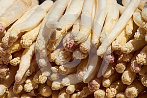 White asparagus on the weekly market