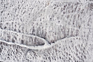 White asphalt road texture. Close-up. Top view