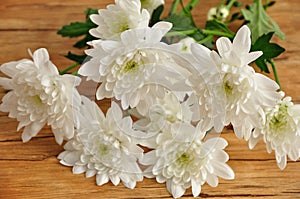 White asters