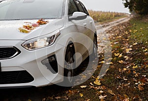 white auto on a dirt road strewn with fallen leaves on a cloudy autumn day