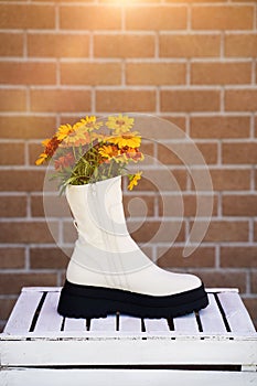 White autumn boot full of a bouquet of orange flowers against a brick wall background. The concept of fashionable