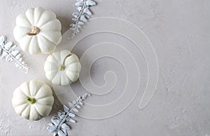 White autumn pumpkins on a beige background, copying space