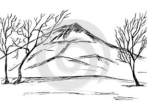 On a white background, a black outline of a bare tree and a mountain
